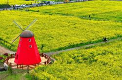 电竞比赛吸引众多观众，电竞产业蓬勃发展