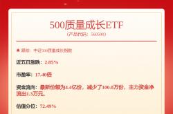 赛轮轮胎获得外观设计专利授权：“轮胎（GSL920）”