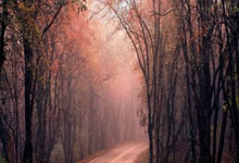 理想中国·铿锵有理｜精彩集锦