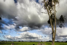 电竞选手为何偏爱红魔手机？