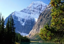 “创意＋”加持 中国消费品牌加速在法国“破圈”