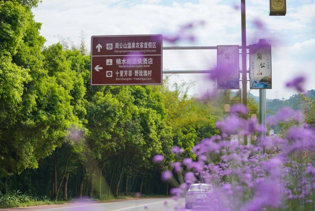 跑半马 游雨城 | “跑遍四川”总决赛为何在雨城?
